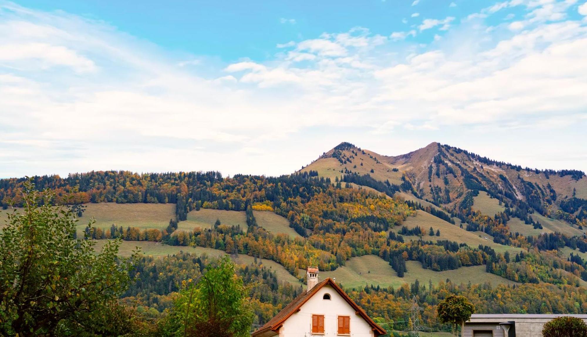 Gruyere Alpes Appartement 3 Chambres Bbq Parking Neirivue 외부 사진