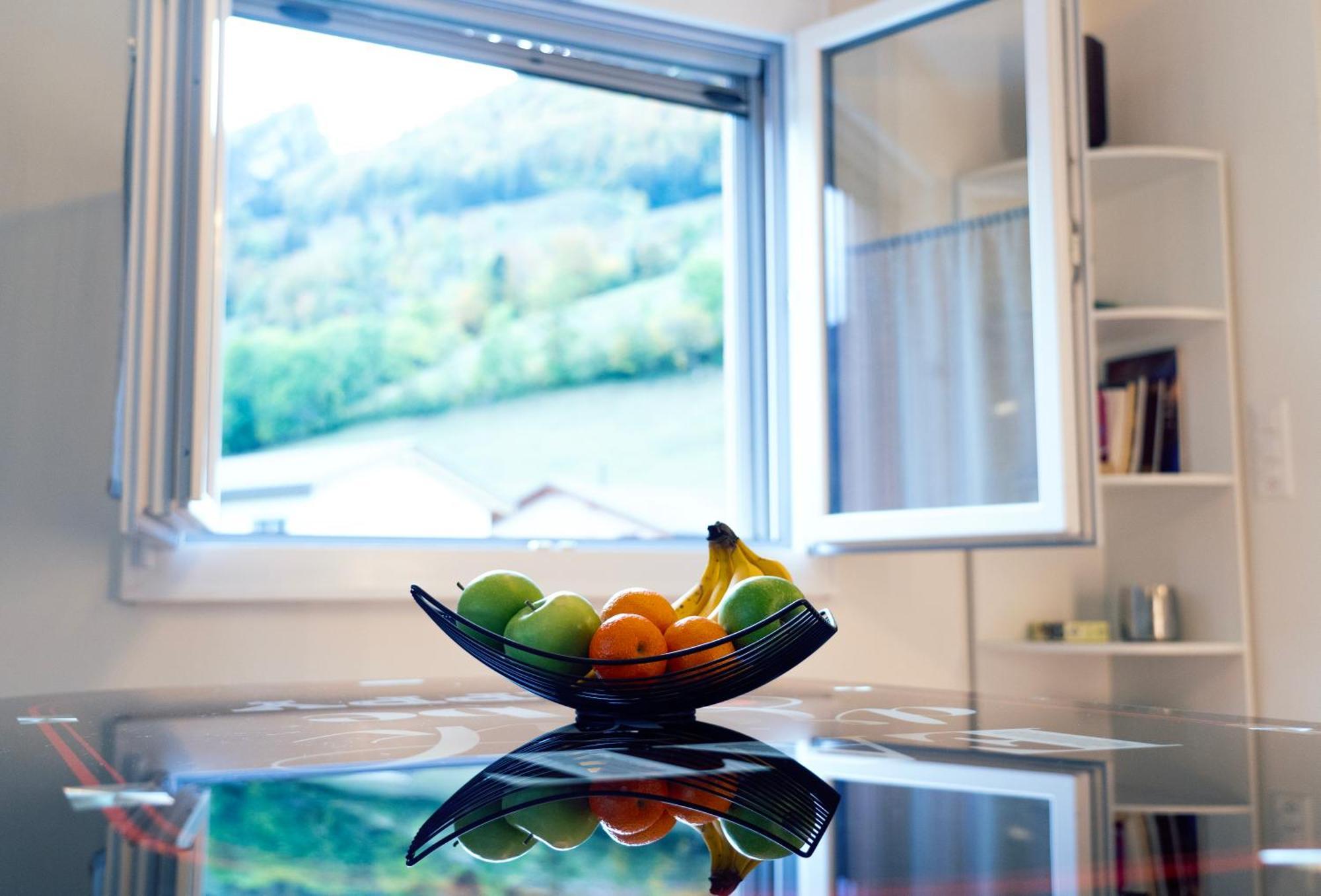 Gruyere Alpes Appartement 3 Chambres Bbq Parking Neirivue 외부 사진